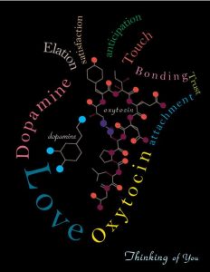 reazioni-chimiche-amore-ormoni-cervello-cuore