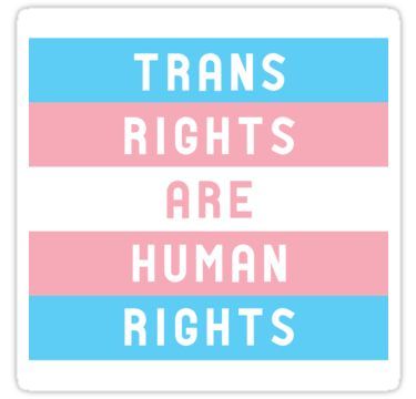 Florida: legge anti-transgender sulle studentesse
