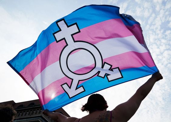 fabiana-omotransfobia-transgender