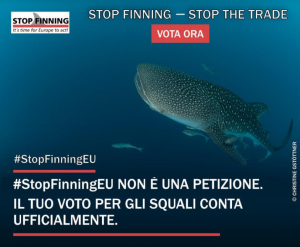 stop-shark-finning