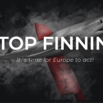 stop-finning