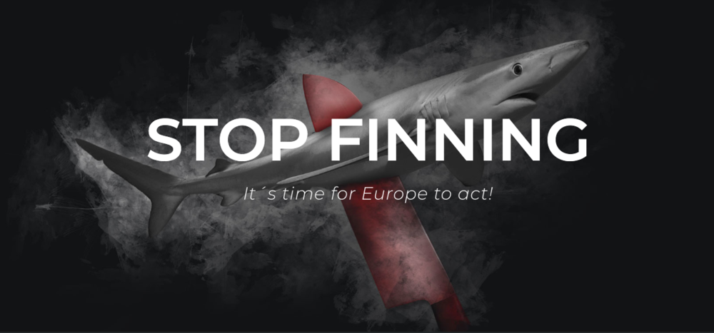 STOP FINNING: fermiamo il commercio di pinne di squalo dall’Europa, vota prima del 2022!