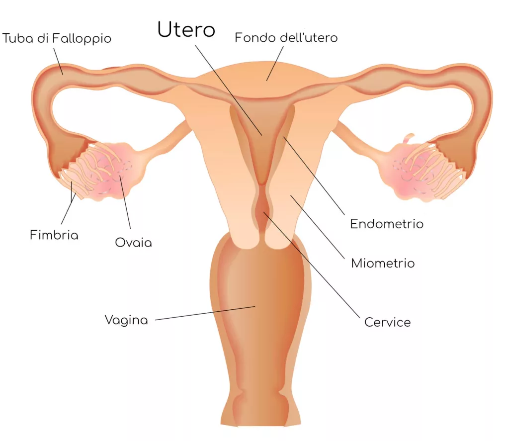 endometriosi-cosa-ce-da-sapere