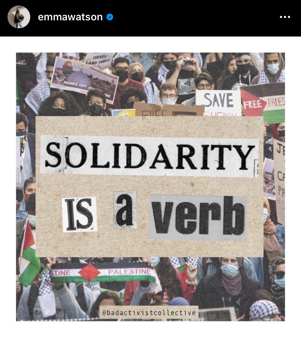 Israele attacca Emma Watson per un post pro-Palestina