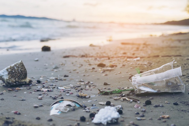 Batteri mangia plastica: il mondo reagisce al nostro inquinamento