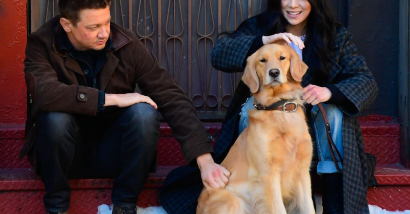 Giornata mondiale del cane: 5 cani famosi nelle serie tv