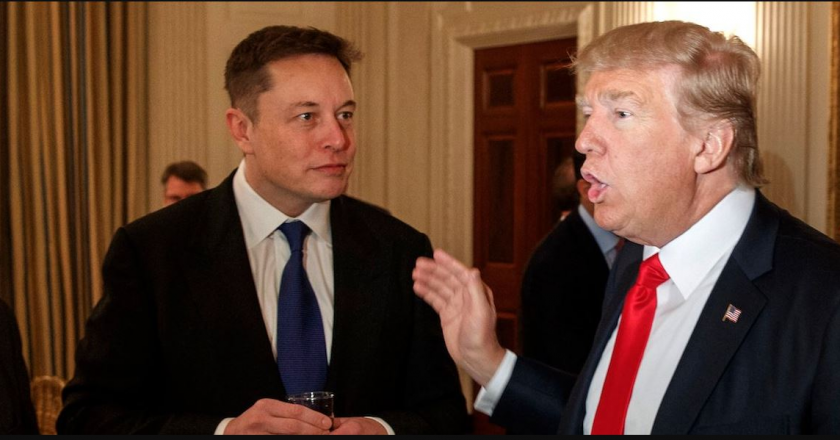 Trump riammesso su Twitter: Elon Musk fa scegliere gli utenti
