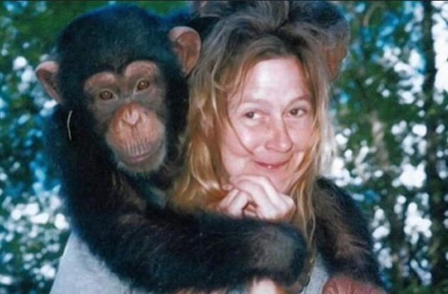 La storia di Travis, lo scimpanzé domestico che sfigurò una donna – Una Tazza D’horror #17