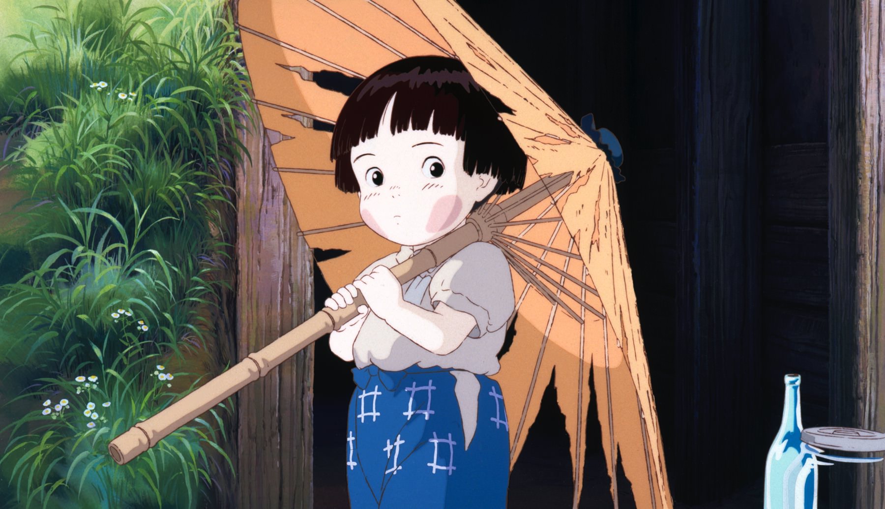 la tomba delle lucciole