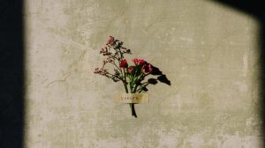 di-abbattere-le-mura-18-donne