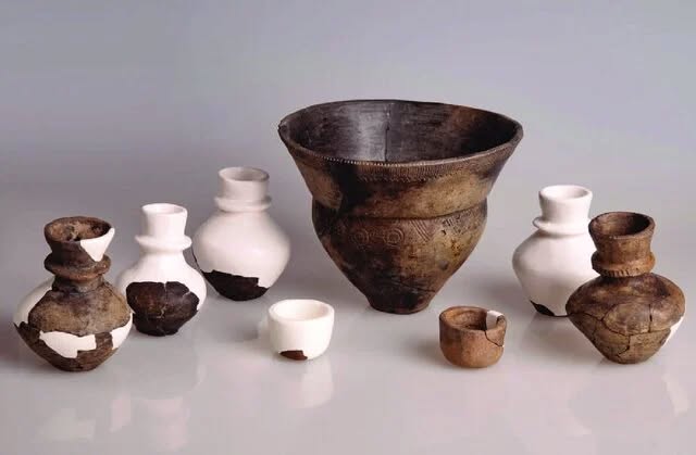 649728895_1409752171196774_2707434169953789885_n Antiche civiltà e latte senza lattosio: la scoperta in Polonia che cambia ciò che sappiamo sulla preistoria