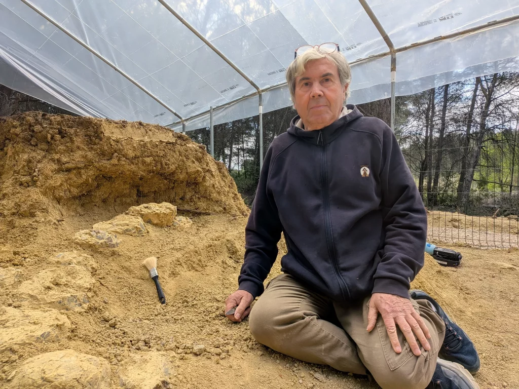 2048-1024x768 In Francia hanno trovato oltre 100 uova di dinosauro: la scoperta potrebbe essere gigantesca
