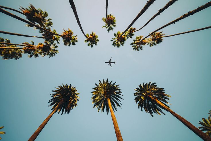 To-Get-the-Best-Price-This-Is-When-to-Book-Your-Flight Caro carburante e voli cancellati: cosa succede ai rimborsi secondo l’Unione Europea