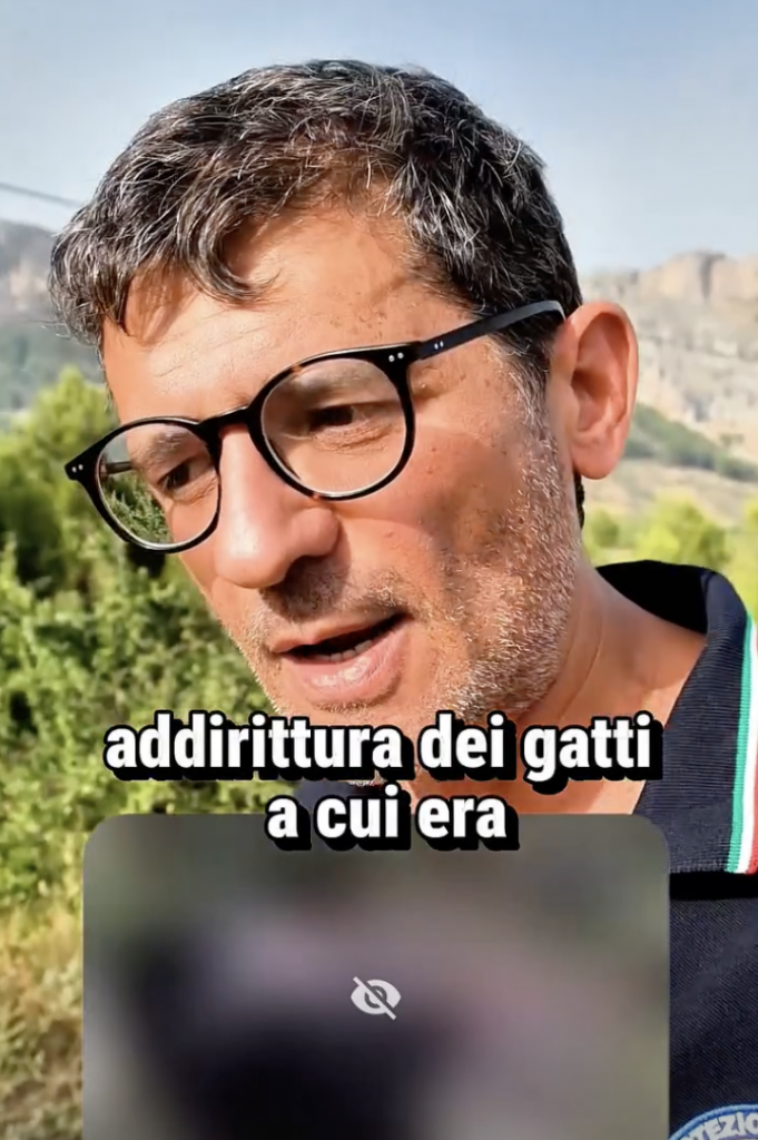 Screenshot-2026-07-22-alle-16.54.27-681x1024 Incendi in Calabria, la denuncia shock della Protezione Civile: "Gatti usati per propagare le fiamme"