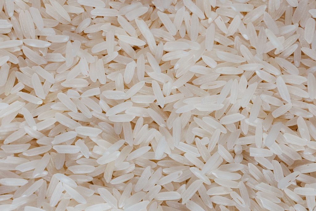 pexels-jonathanborba-36346840-1024x683 Agricoltura in crisi: il cambiamento climatico sta mettendo in ginocchio il Made in Italy, ma la politica continua a voltarsi dall'altra parte